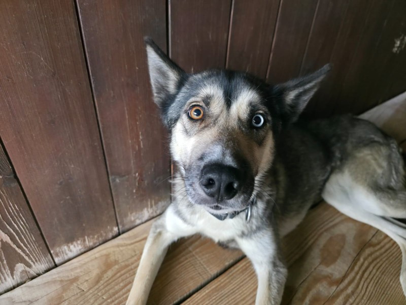 supertramp family's U'rita